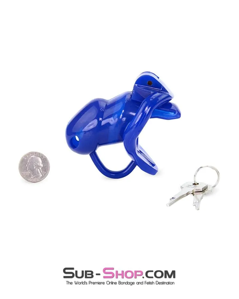 1386AR-SIS      Sissy Cocktease Blue Balls High Security Locking Male Chastity Device with Ball Divider