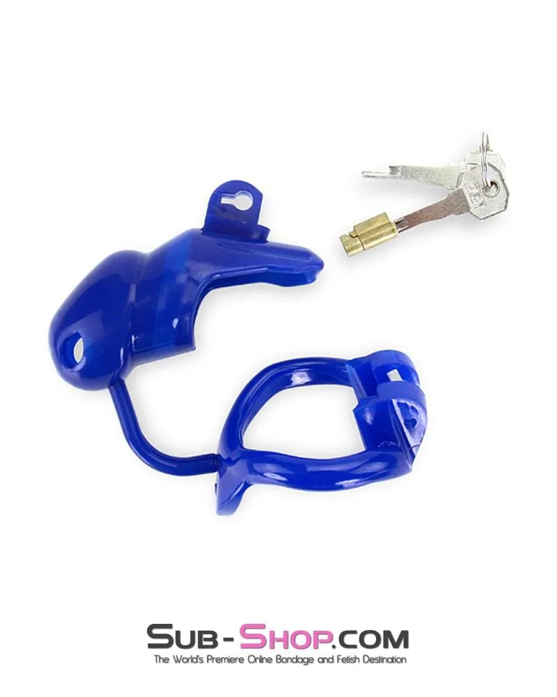 1386AR-SIS      Sissy Cocktease Blue Balls High Security Locking Male Chastity Device with Ball Divider