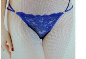 Lace Extreme Sexy Transparent Panties - One Size Fits Most