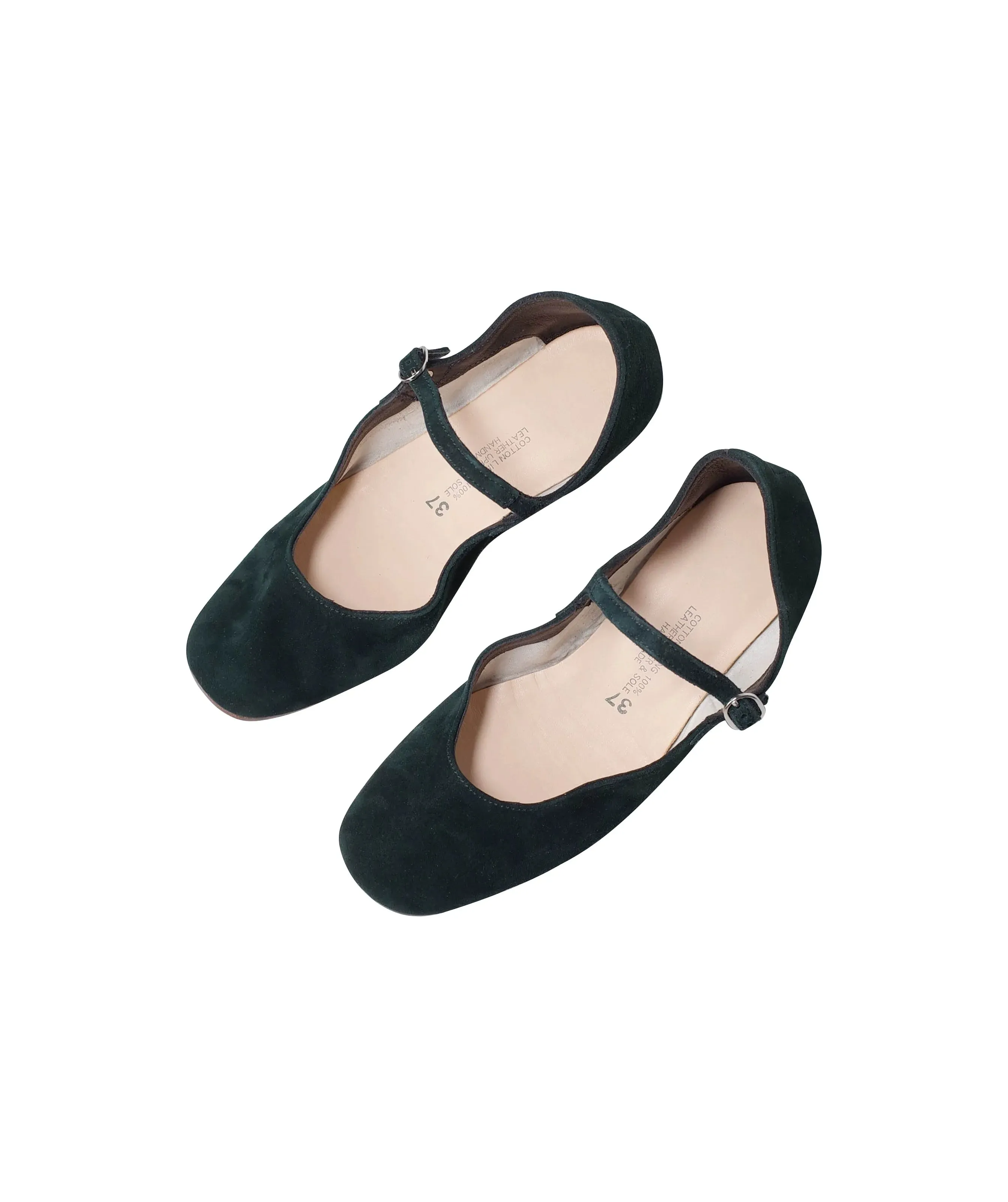 Mary Jane Thick Heel Shoes