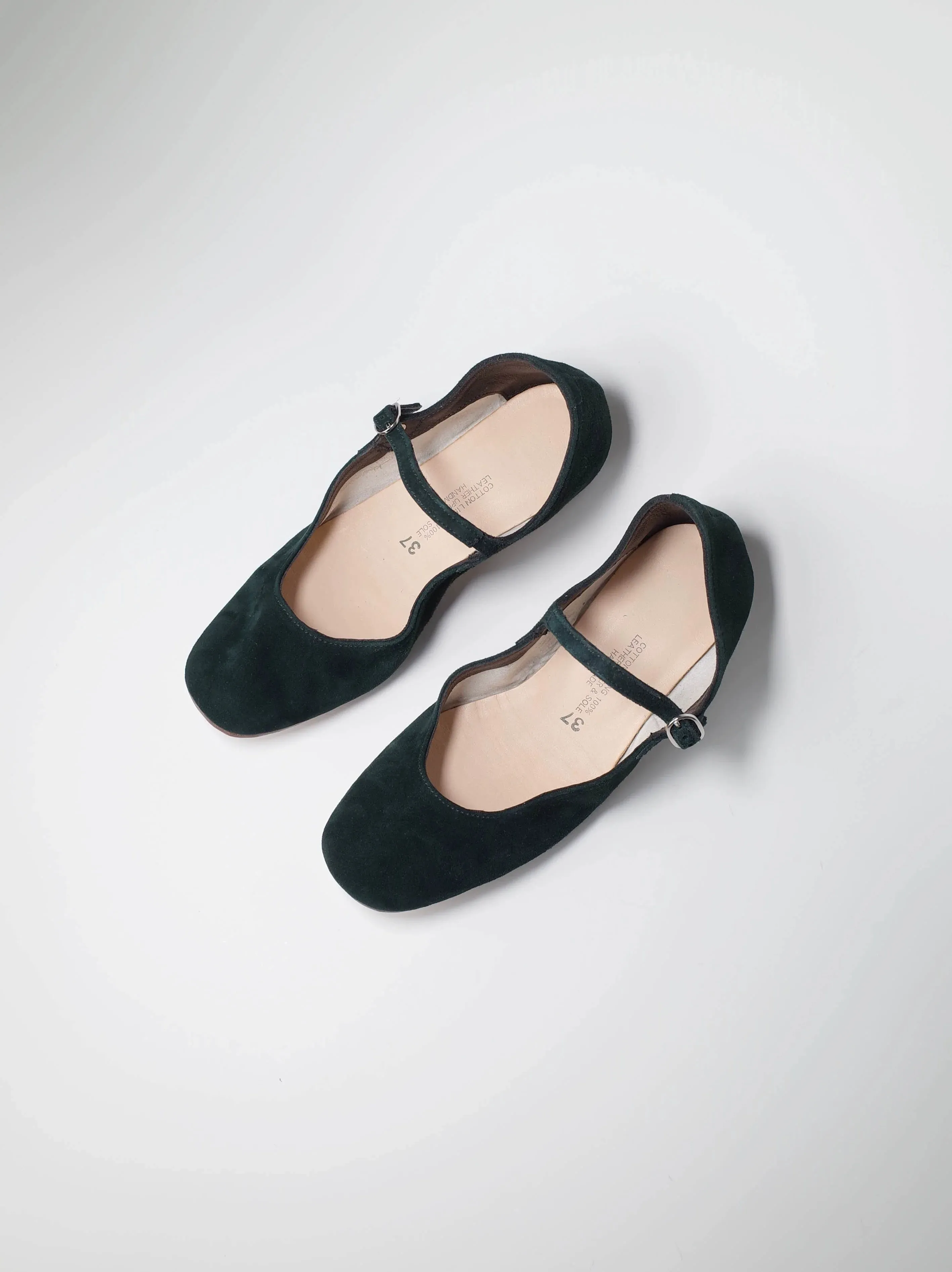 Mary Jane Thick Heel Shoes