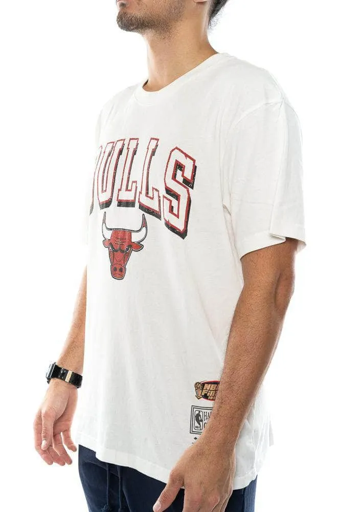 mitchell and ness chicago bulls vintage keyline logo tee