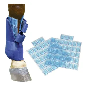 Professional's Choice Flexible Ice Cells