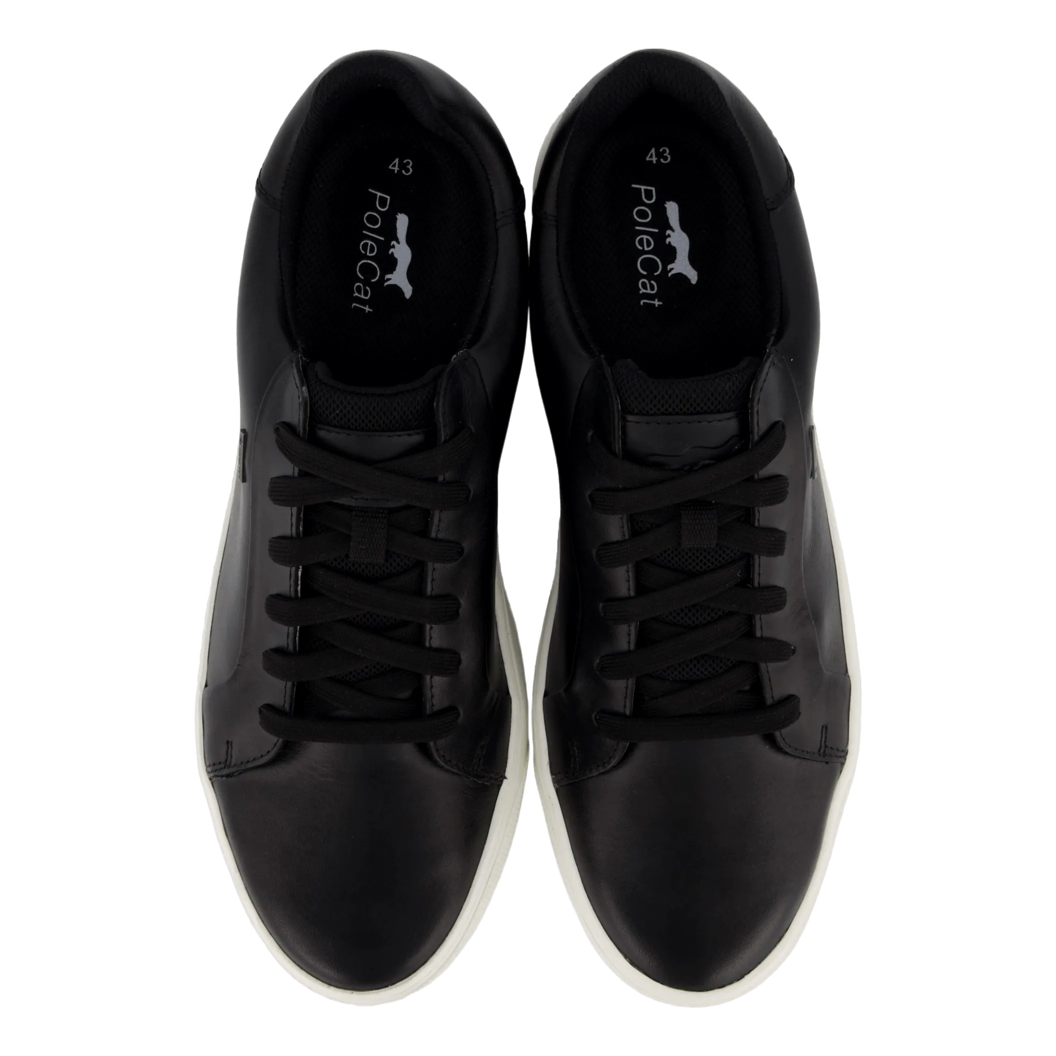 Rex Turin Gtx Black