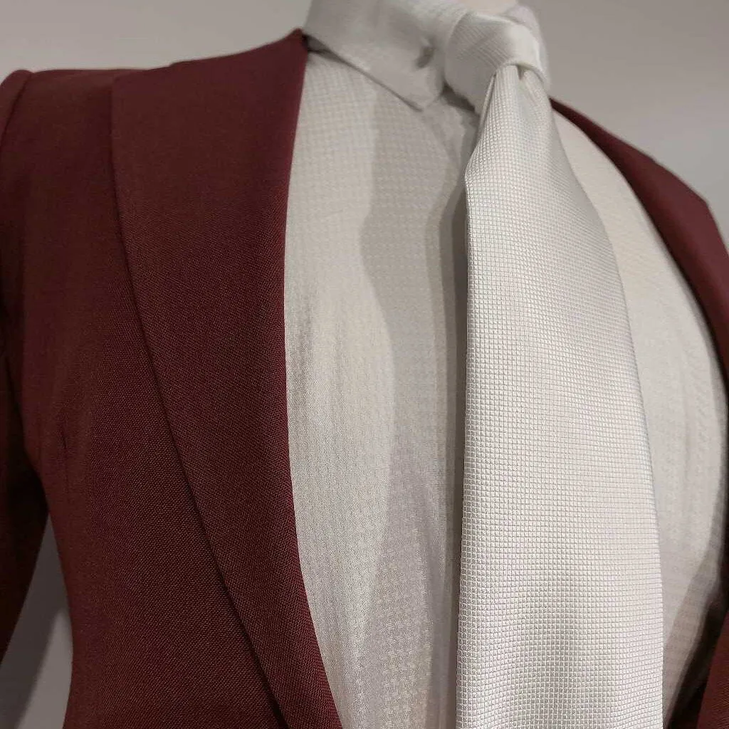 RJ Becht Maroon Mens Suit