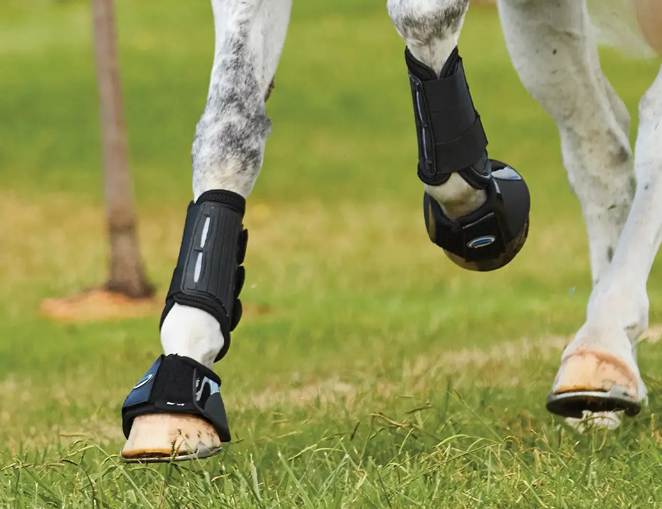 Weatherbeeta Eventing Front Boot
