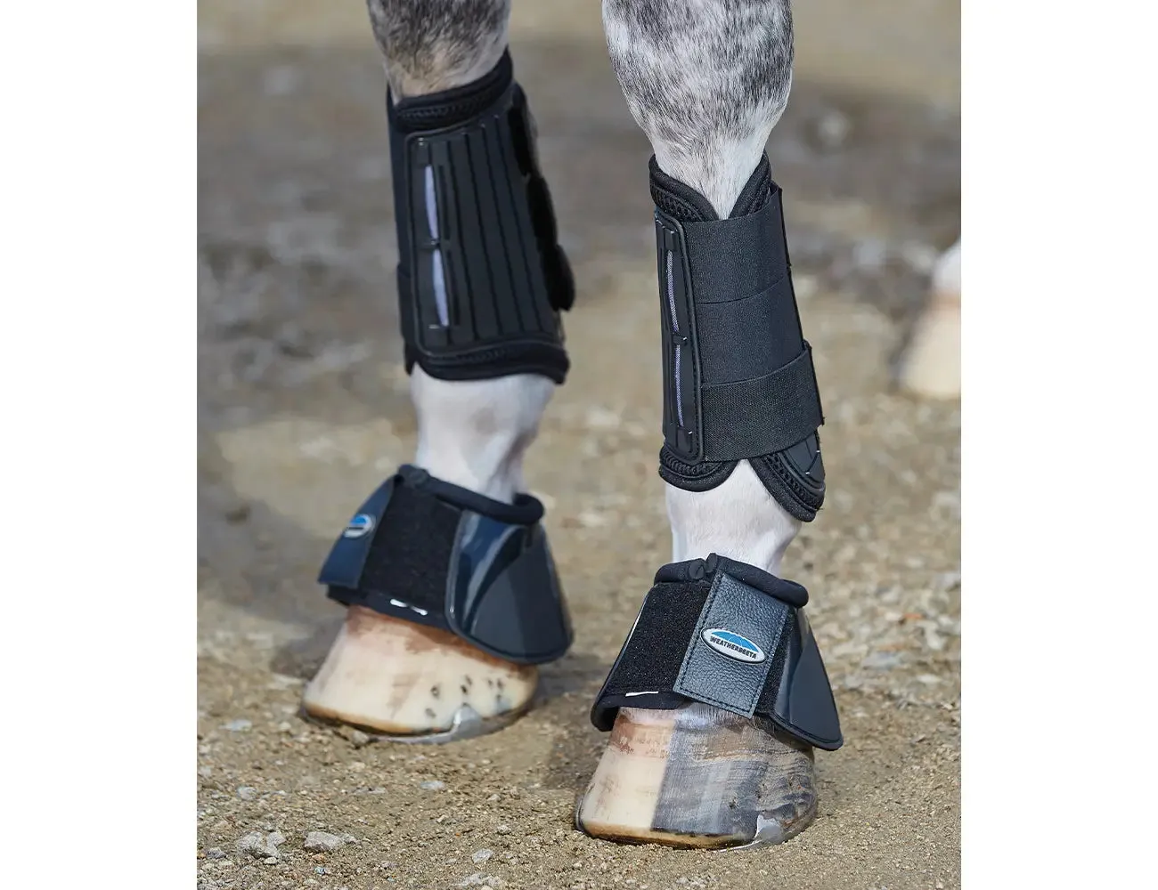 Weatherbeeta Eventing Front Boot